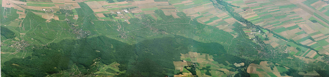 Côte des Blancs vue du nord